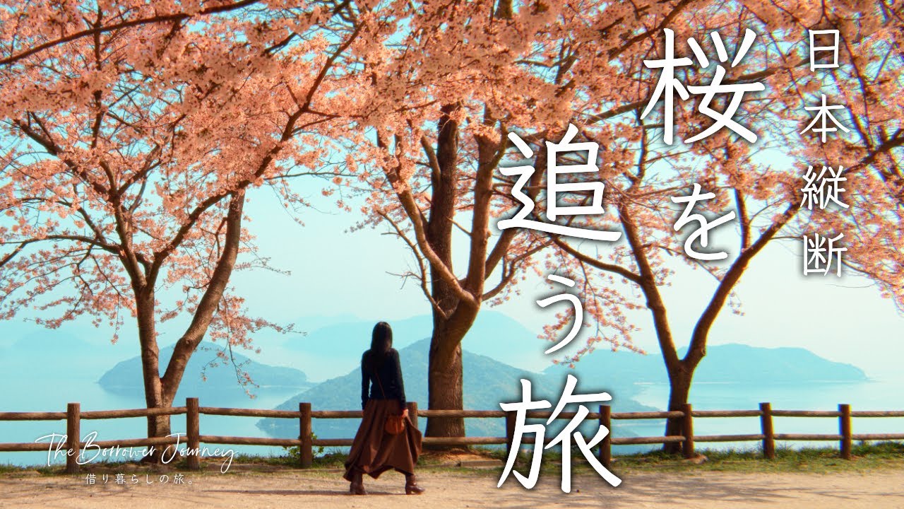 桜前線を追いかけてみたら🌸日本縦断桜旅 | 祝桜満開 | 香川 紫雲出山、金刀比羅宮、父母ヶ浜 | しまなみ海道 開山公園 | 東京お花見スポット巡り | 桜vlog