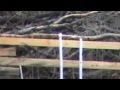 Long range egg shooting