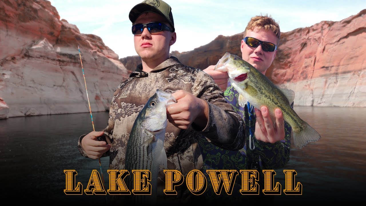 Fishing LAKE POWEL for BIG BASS!!