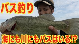 こんな所でスズキ!?釣れないでしょ!?バス釣り行こうぜ！
