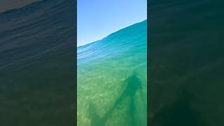 Surfing silhouette ripping a turn👤🔥