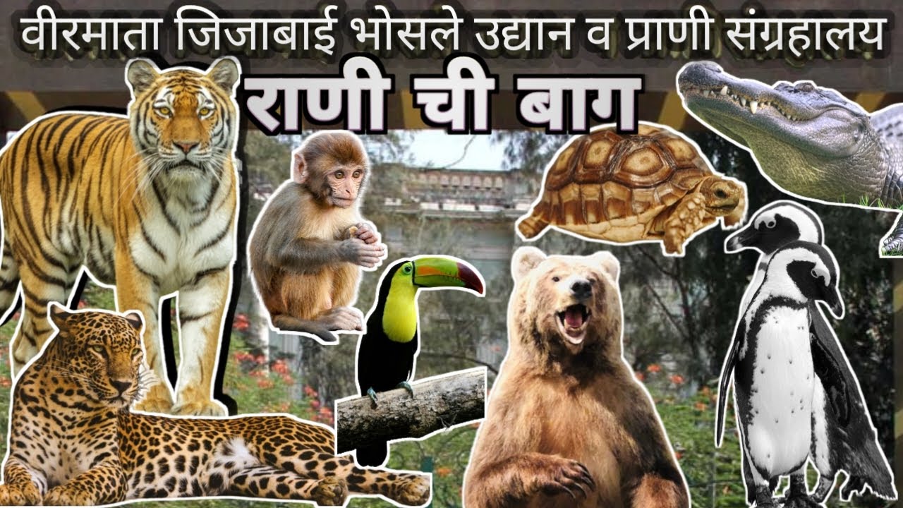 गेलो भायखाळा राणीच्या बागेत || zoo in Mumbai || Raniranichibagh byculla