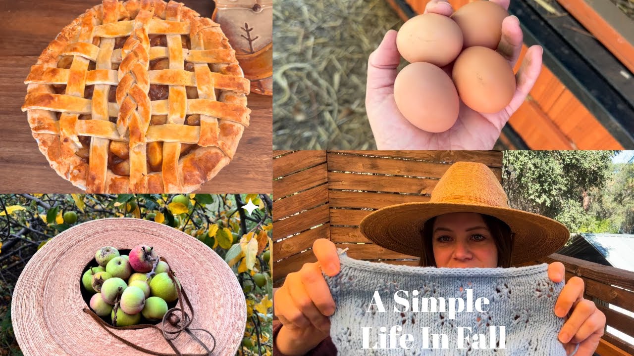 Slow Living In Autumn | Baking Apple Pie, Knitting & Harvesting