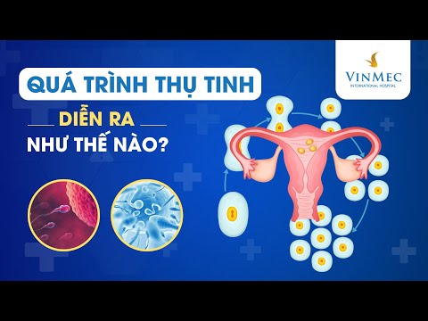 Video: 3 cách chăm sóc cây mọng nước