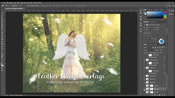 Angel Wings Photo Prop overlays,photoshop overlays,Feather Overlays Photo Overlays