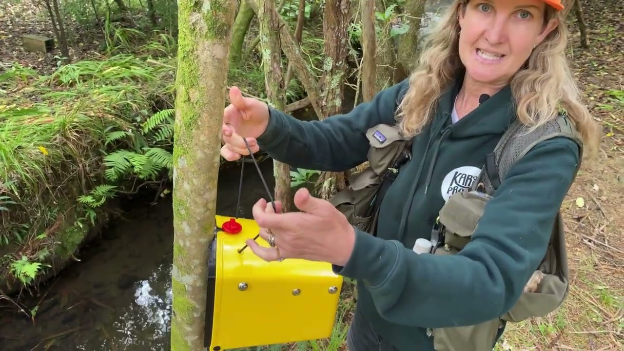 Flipping Timmy Setting