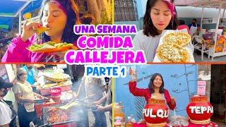 🌮 UNA SEMANA COMIENDO COMIDA CALLEJERA 🍔 ¡Solo Changarros y Puestos! 💵 ¿SALE CARO?