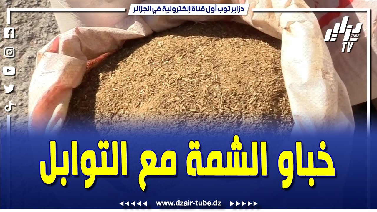 #شاهد   خباوها فوسط التوابل    حجز كمية معتبرة من مادة #الشمة