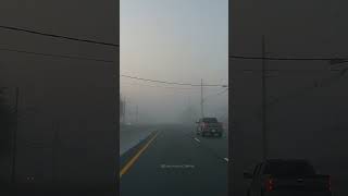 Fog is creating a mysterious and magical atmosphere, making the road look even more beautiful