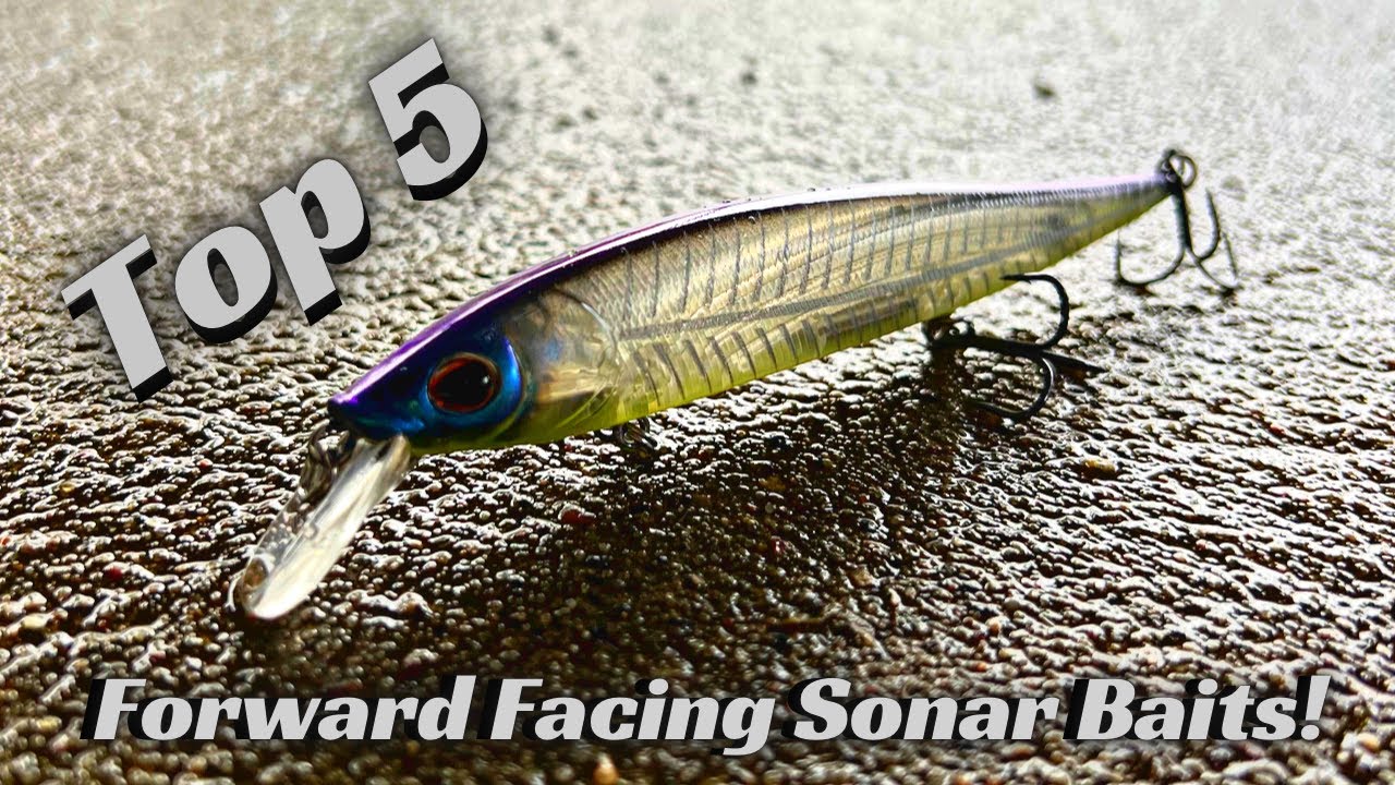 The Best Baits To Use With Forward Facing Sonar Like Active Target And  Livescope! 