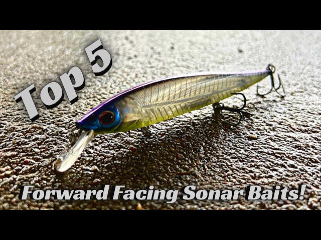 The Best Baits To Use With Forward Facing Sonar Like Active Target