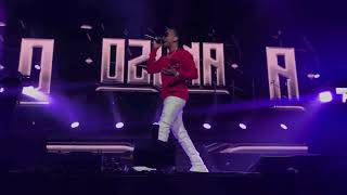 √ Ozuna 🐻 TE VAS (en vivo - live) concierto Amway Center [HD]
