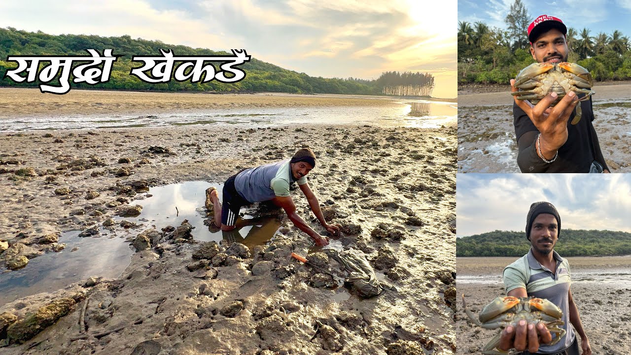 अमावस्येला समुद्रावर गेलो खडपी खेकडे पकडायला | Catching Big size green mud crabs 🦀 