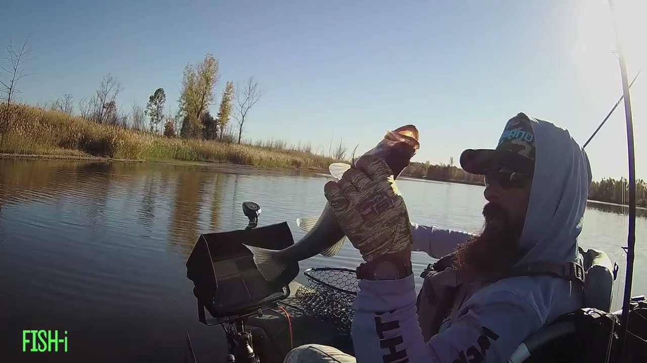Bass Fishing