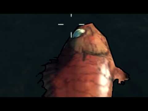 Borderlands GOTY – Part 38: Wanted: Fresh Fish (Co-op)