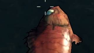 Borderlands GOTY – Part 38: Wanted: Fresh Fish (Co-op)