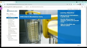 BIO 235 Lab Practical II Overview Video