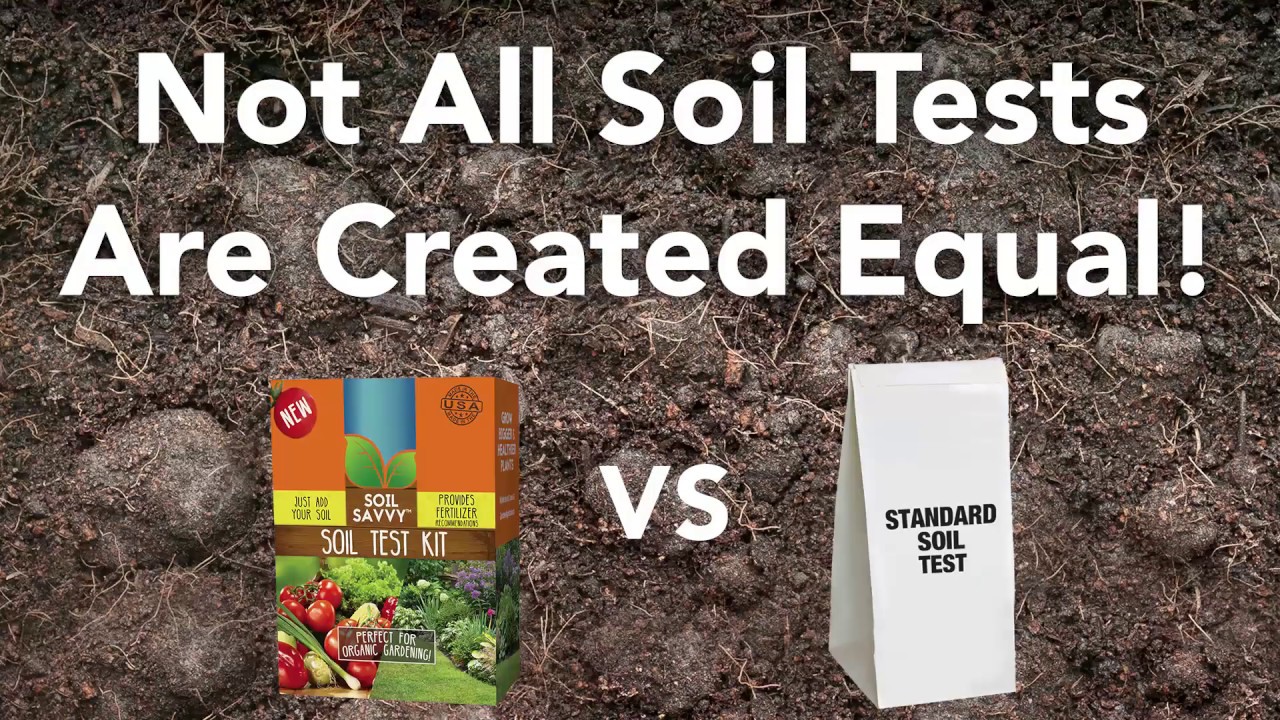 Soil Savvy Wants You To 