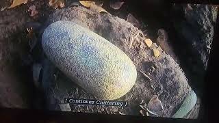 Dinosaur (2000) Oviraptor Scene