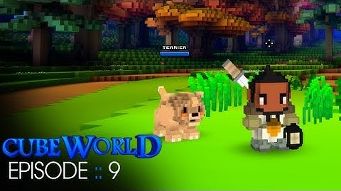 Cube World :: Episode 9 :: New Pet "Baseball!"