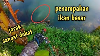 Pendanakan Ikan Besar  Ketapel Ikan Langsung Beraksi ketapelikan slingshotfishing paserikan