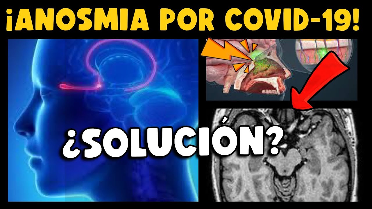 ¡IMPORTANTE! INVESTIGACIÓN REVELA QUE PACIENTES COVID-19 CON ANOSMIA PODRÍAN RECUPERAR OLFATO