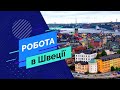 Рабочий на посадку, обработку (опрыскивание) саженцев в Швецию