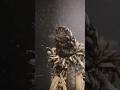 The unusual bagworm moth caterpillar #shorts #viral #scary #bug