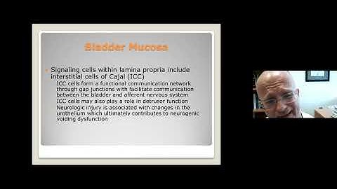 4.21.2020 Urology COViD Didactics - Neurogenic Bladder: Principles and Practices of Management