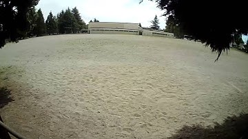 FlexRC Mini Owl lunch time flight