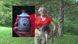 Bird Dog Affield Season 1 Episode 5 Training Steadiness with Jason Carter Part 2.