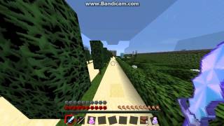 Timolia 1vs1 PVP #1   Hacker