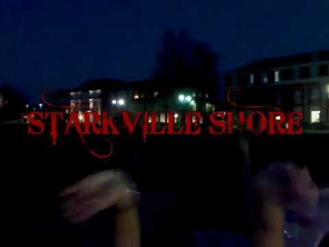 STARKVILLE SHORE Sect. 06