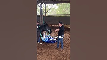 Finding The Holes In Your Horse’s Training! Part 14! | The Horse Guru - Michael Gascon