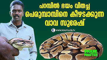 OMG! Vava Suresh is with the Python that sowed the seeds of horror | Vava Suresh | Snakemaster