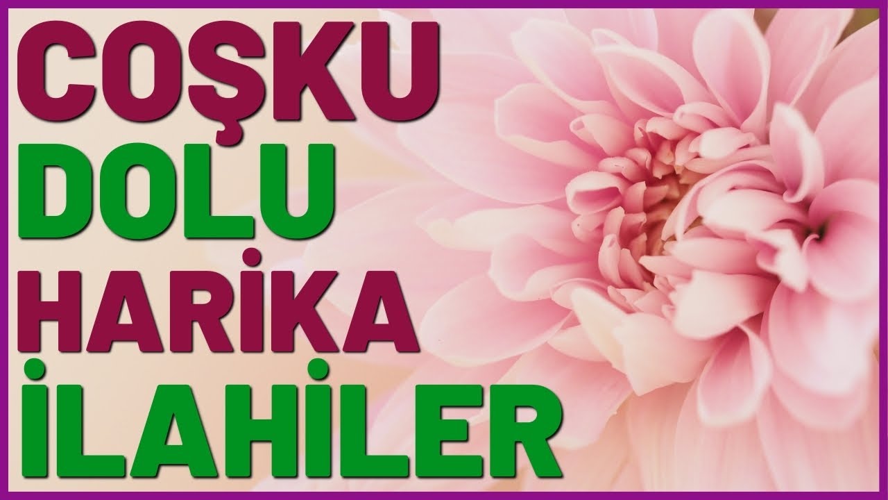 AL BENİDE KOLLARINA GÜZEL KOKAN MEKKE  | COŞKULU HARİKA İLAHİLER
