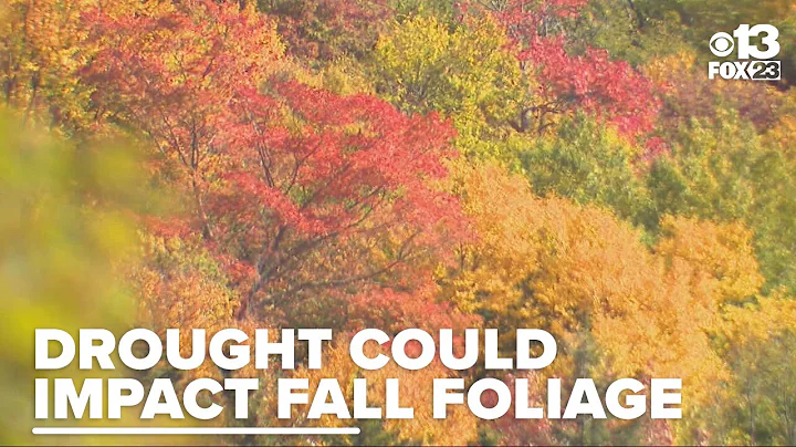 Drought conditions could dull Maine's fall foliage this year