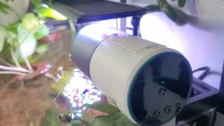 AQQA Automatic Fish Feeder for Aquarium   Auto Fish Food Dispenser Review