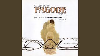 Vídeo de Estúpido Rapaz