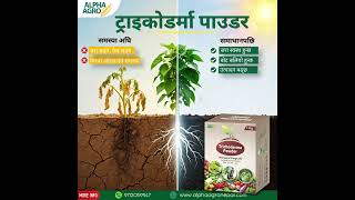 Trichoderma Harzianum: The Ultimate Guide to Organic Disease Control