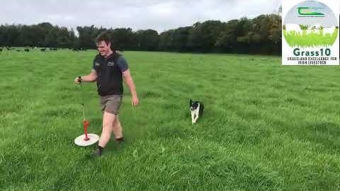 John Trant  Social Media Takeover