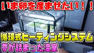【メダ活の自動化】まだ誰もやっていないメダカの循環式加温システムで今卵を産ませる夢の温室を作ってみた