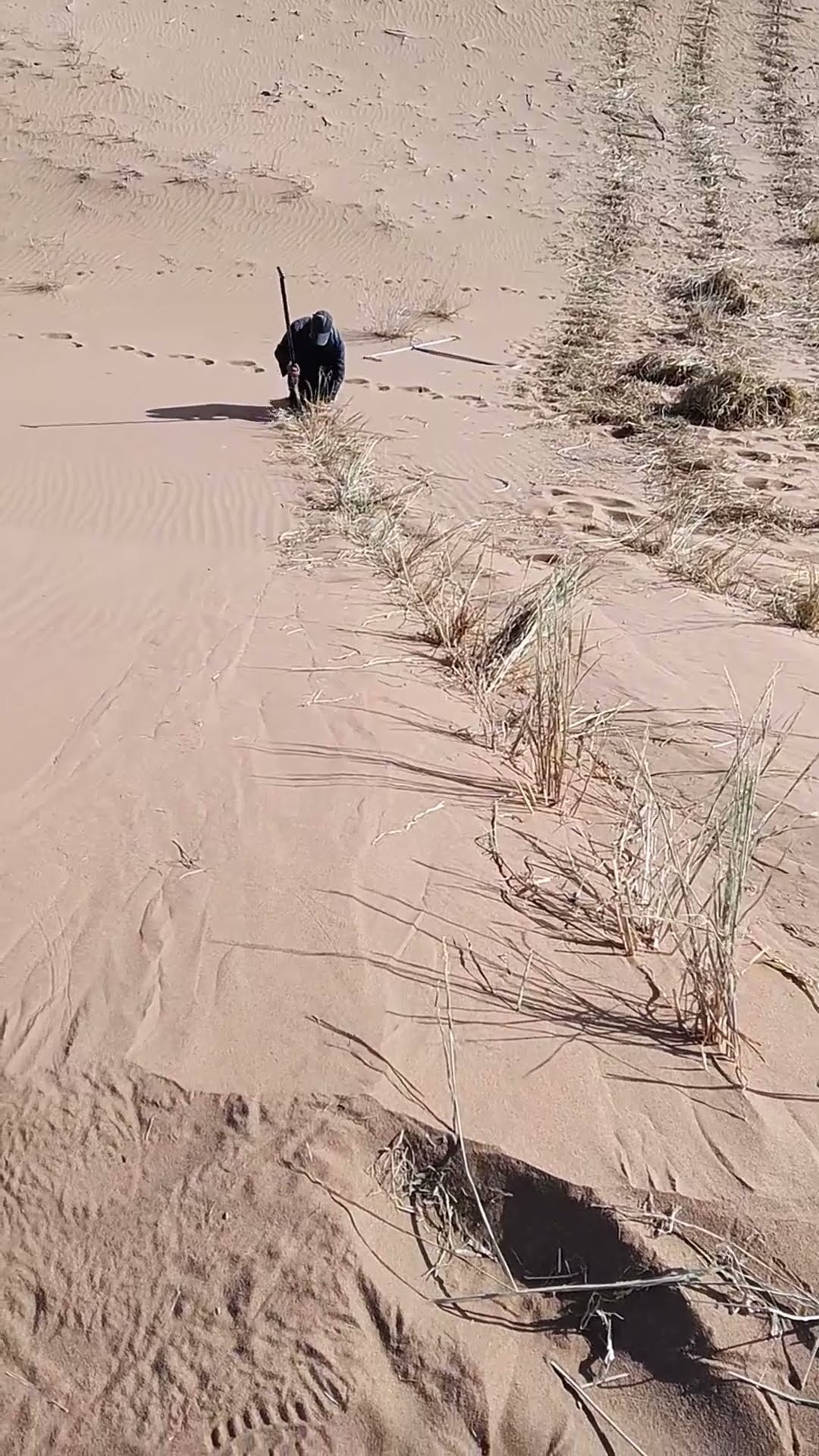 Desert quicksand control process