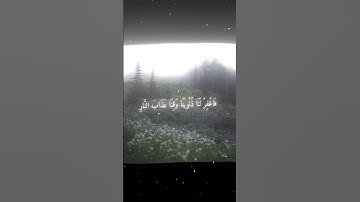 محمد اللحيدان - سورة آل عمران.  #quran #fyp