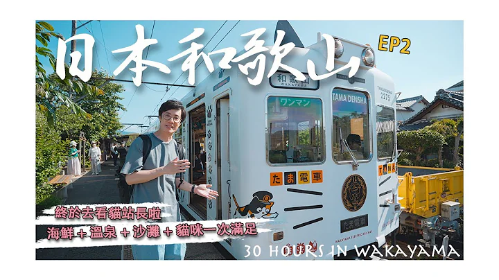 【日本旅游vlog】EP2-终于去探访猫站长了，贵志川线超多主题电车太懂游客了吧，和歌山市最有历史的酱油拉面店？｜贵志站｜井出商店｜白滨沙滩温泉｜和歌山市｜伊太祈增站｜4K｜2023 - 天天要闻