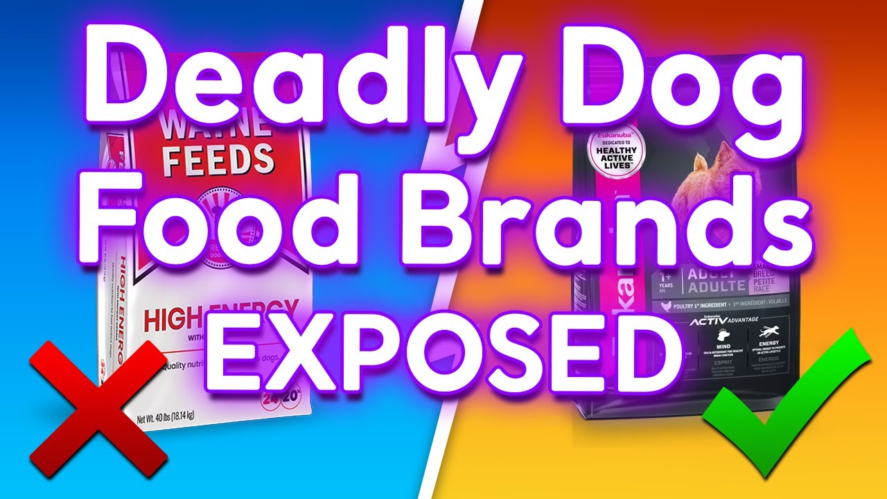 10 Deadly American Dog Food Brands (And 5 That Are Healthy)