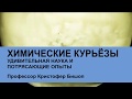 Химические курьёзы. Удивительная наука и потрясающие опыты с профессором Кристофером Бишопом