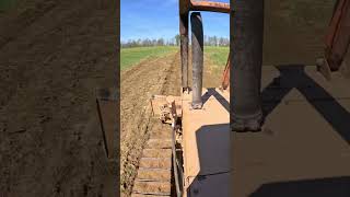 Fixing wash outs to sow down for water ways! #farmwork #bulldozer #cropmanagement #fyp