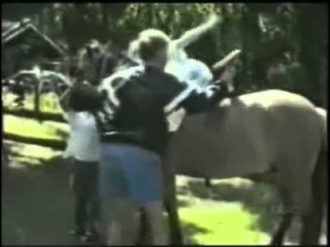 Owned by Animals