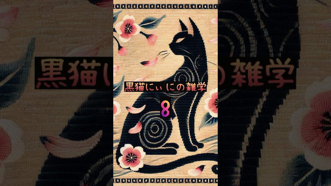 猫黒にぃにの雑学8 